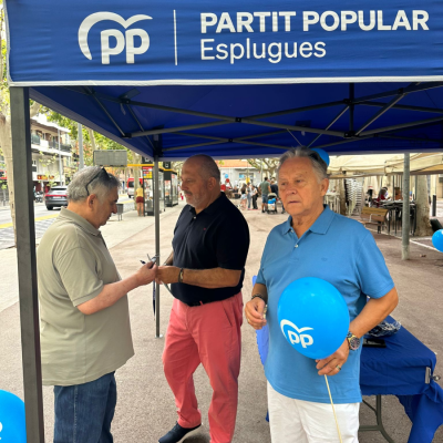 Carpa Verano 2025 009